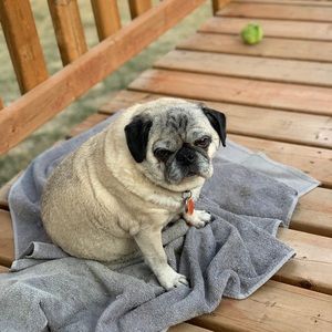 Meet your Posher, Denise